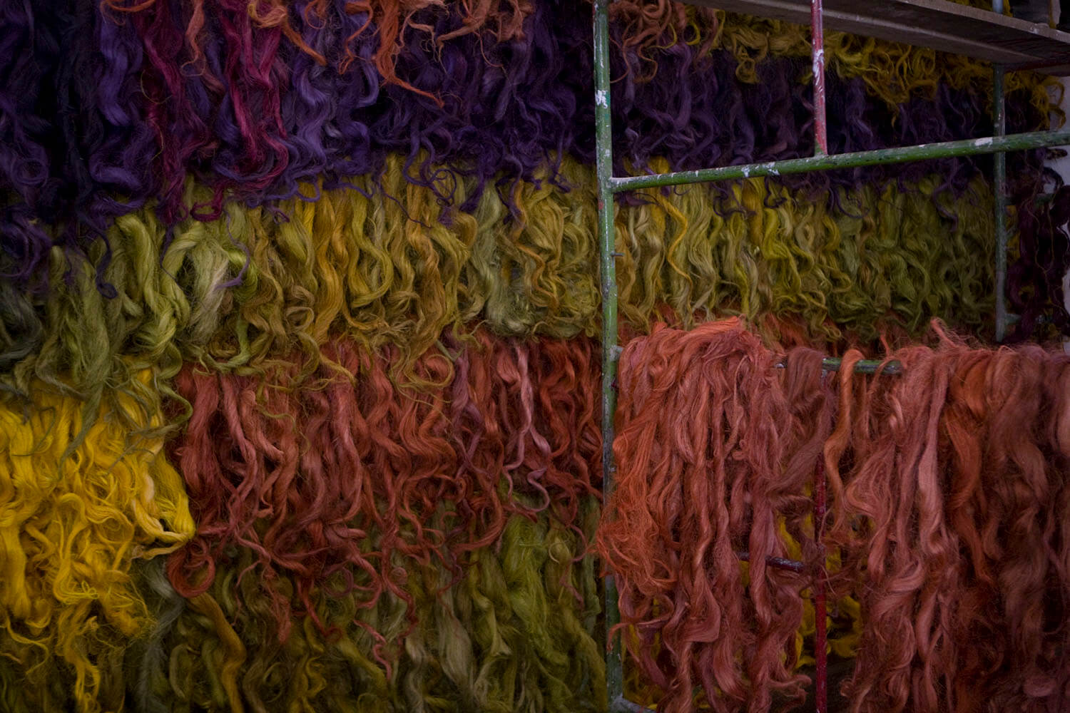 EXPO Montaje flora_MG_8518.jpg